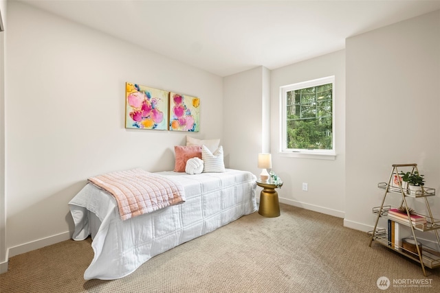 19713 17th St SW, Lakebay, WA 98349 - carpeted bedroom with baseboards