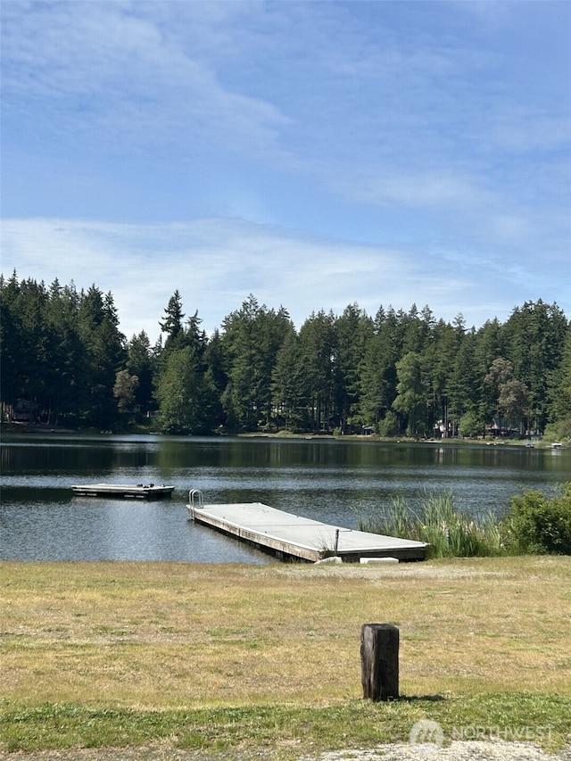 19713 17th St SW, Lakebay, WA 98349 - water view featuring a boat dock and a forest