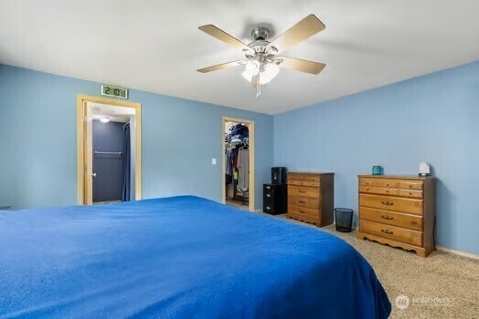 231 E Heights Pl N, Belfair, WA 98528 - bedroom featuring carpet flooring, a walk in closet, a closet, and ceiling fan