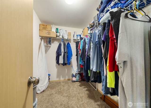 231 E Heights Pl N, Belfair, WA 98528 - spacious closet with carpet floors