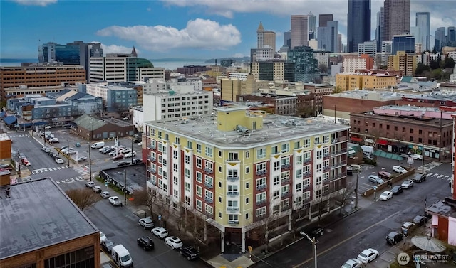 668S Lane St Unit 702, Seattle, WA 98104 - view of city
