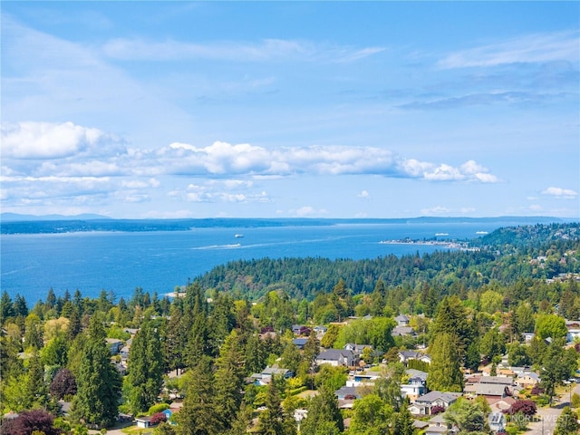 3754 SW 107th St, Seattle, WA 98146 - aerial perspective of suburban area with a large body of water and a heavily wooded area