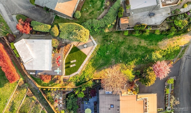 4425 Paradise Ave W, University Place, WA 98466 - bird's eye view