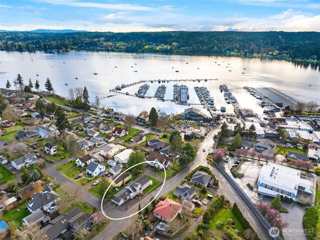 aerial view with a water view