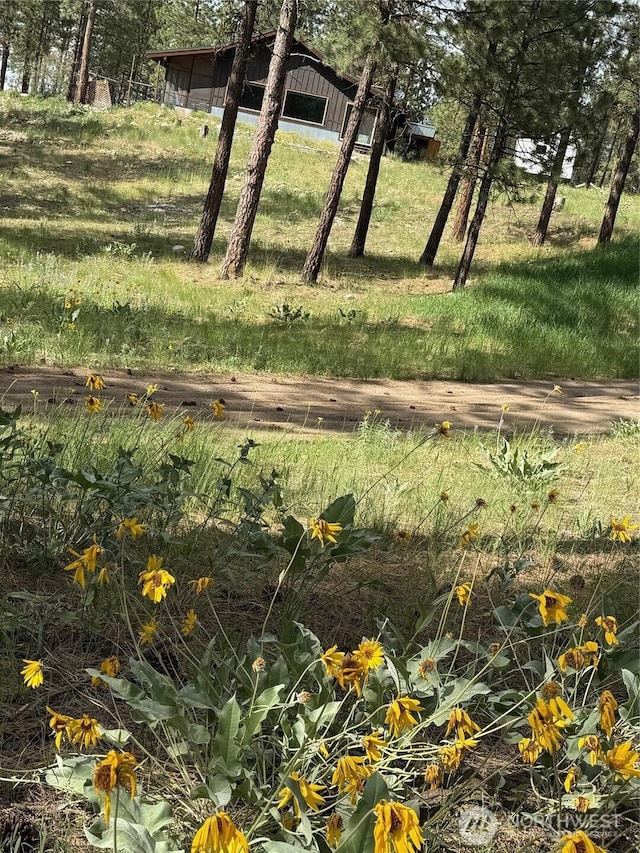 21 Twin Lakes Dr, Winthrop, WA 98862 - view of yard
