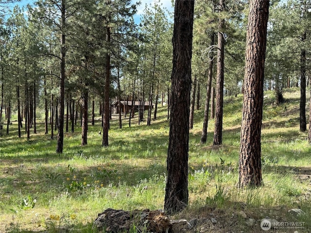 21 Twin Lakes Dr, Winthrop, WA 98862 - view of undeveloped land