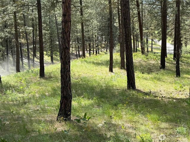 21 Twin Lakes Dr, Winthrop, WA 98862 - view of tree filled area