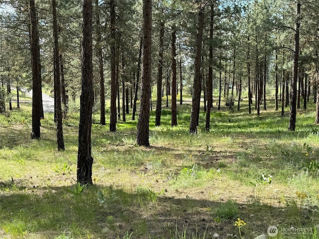 21 Twin Lakes Dr, Winthrop, WA 98862 - view of undeveloped land