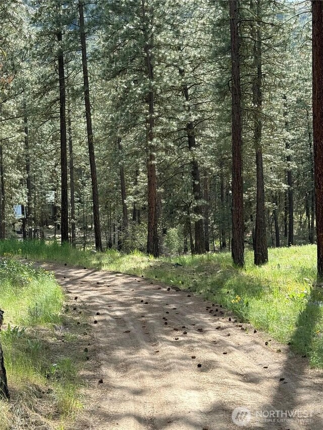 21 Twin Lakes Dr, Winthrop, WA 98862 - view of street featuring a wooded view