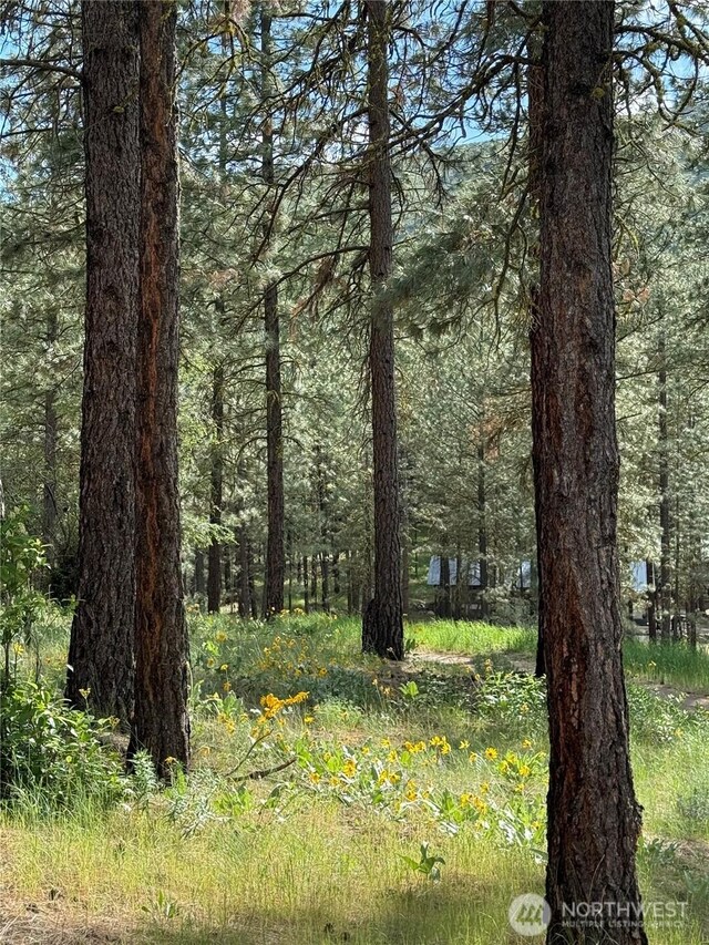 21 Twin Lakes Dr, Winthrop, WA 98862 - view of tree filled area