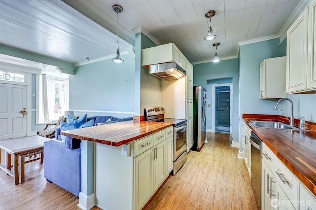 kitchen with a sink, appliances with stainless steel finishes, crown molding, and butcher block countertops