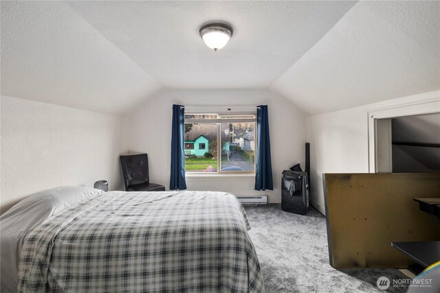 2824 Pacific Ave, Hoquiam, WA 98550 - bedroom featuring vaulted ceiling, carpet, a baseboard heating unit, and a textured ceiling