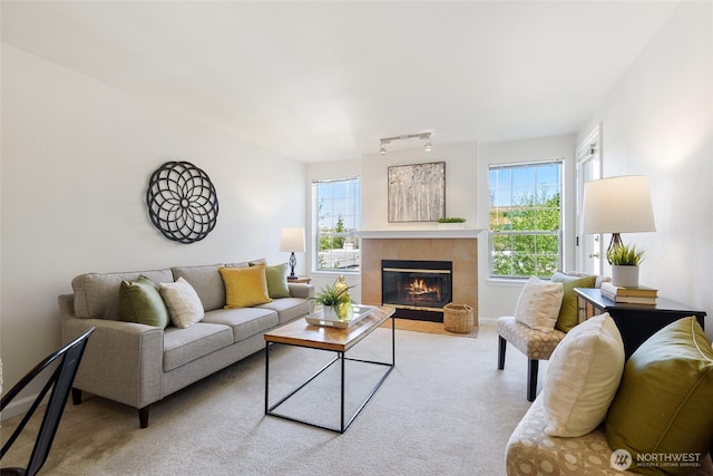 130 NE 95th St Unit A203, Seattle, WA 98115 - living room with carpet flooring, a wealth of natural light, and a fireplace