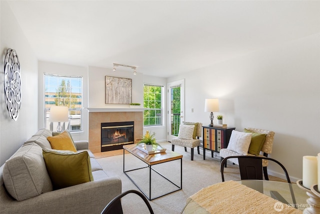 130 NE 95th St Unit A203, Seattle, WA 98115 - living room featuring a tiled fireplace, rail lighting, a wealth of natural light, and light colored carpet