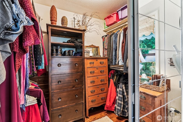 spacious closet with wood finished floors