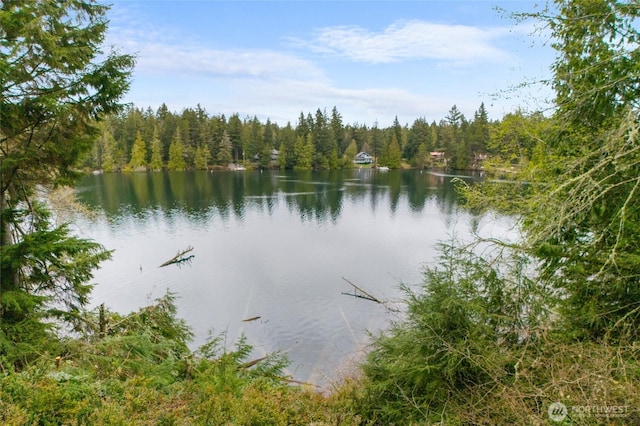 view of water feature with a view of trees