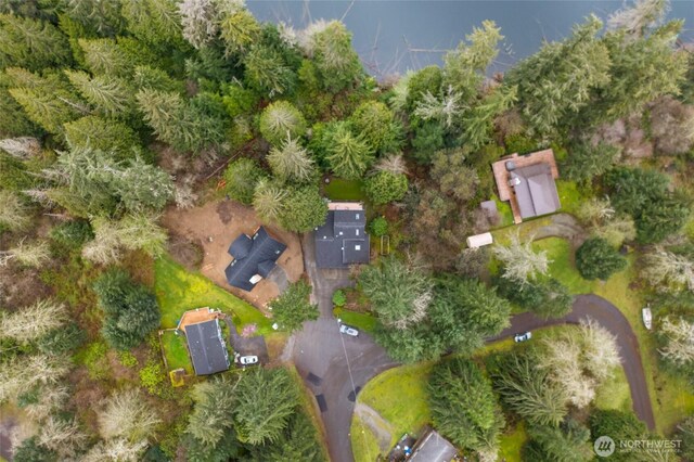 drone / aerial view