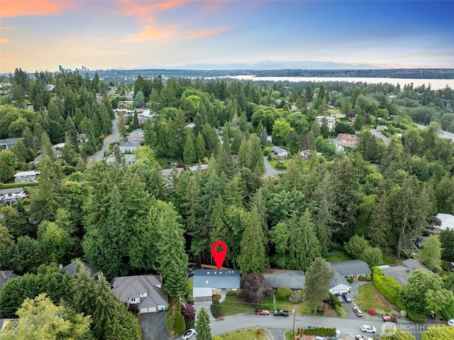 3115 103rd Ave NE, Bellevue, WA 98004 - aerial view at dusk of a water view