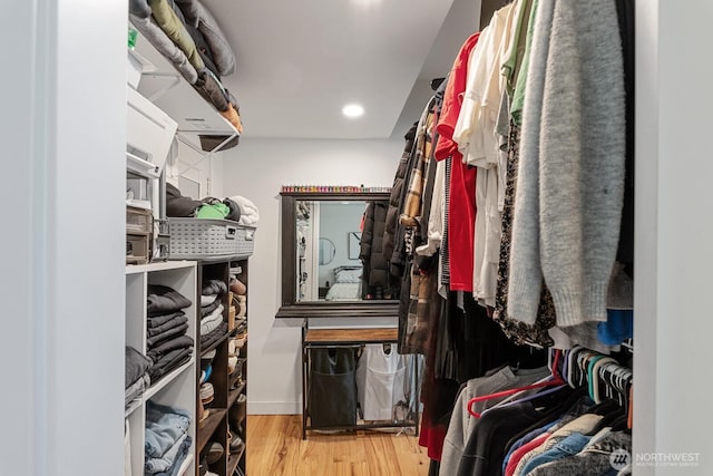 walk in closet featuring wood finished floors