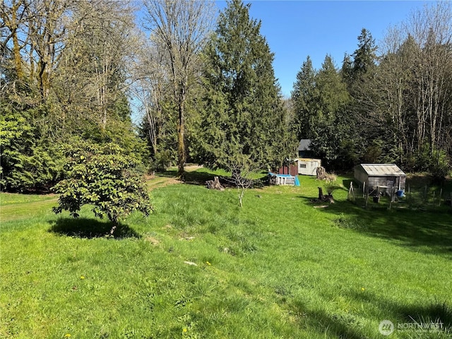 view of yard featuring an outdoor structure and a shed