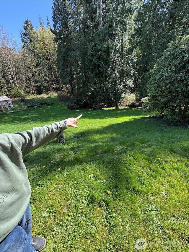 view of yard