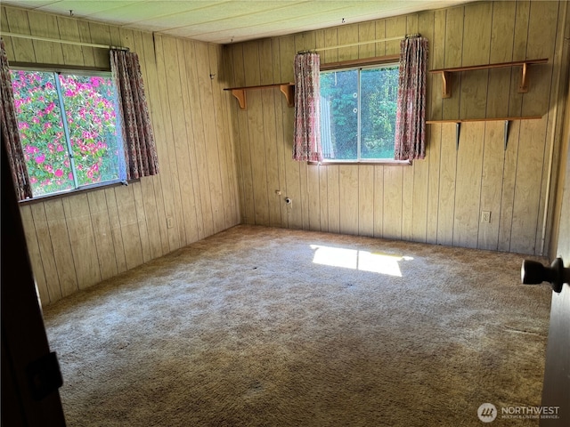 carpeted spare room with wood walls