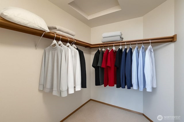 spacious closet with carpet floors