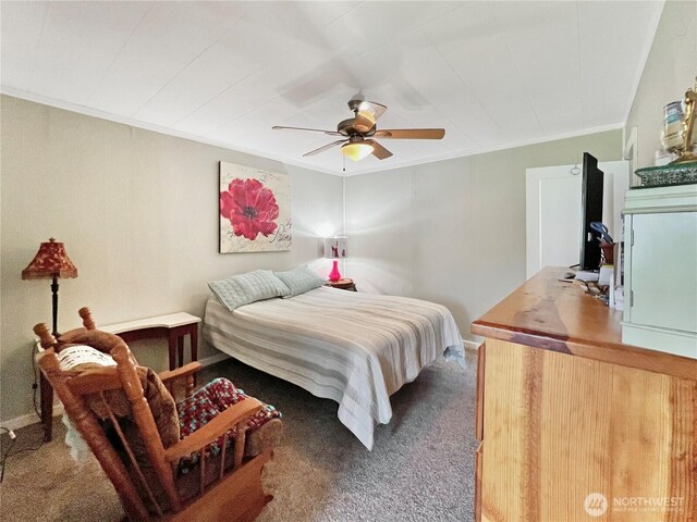 905 Talcott St, Sedro Woolley, WA 98284 - photo 12