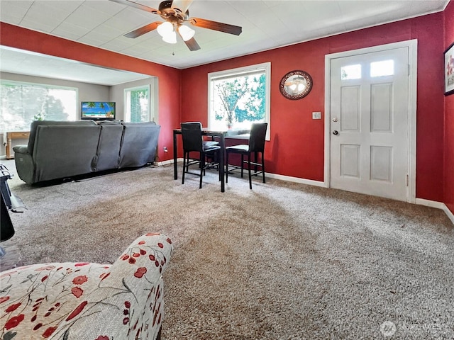 905 Talcott St, Sedro Woolley, WA 98284 - photo 4