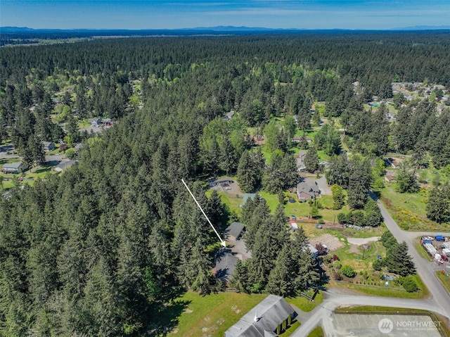 24620 36th Avenue Ct E, Spanaway, WA 98387 - bird's eye view of a heavily wooded area