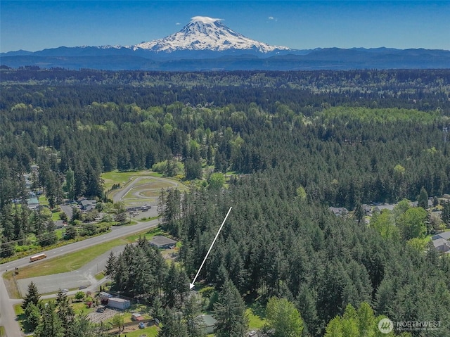 24620 36th Avenue Ct E, Spanaway, WA 98387 - aerial overview of property's location featuring a forest and a mountain backdrop