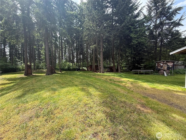 24620 36th Avenue Ct E, Spanaway, WA 98387 - view of green lawn with a trampoline and a wooded view