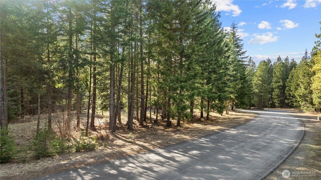 130 Rocking Chair Rd, Cle Elum, WA 98922 - photo 3