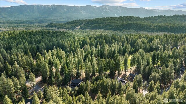 130 Rocking Chair Rd, Cle Elum, WA 98922 - photo 10