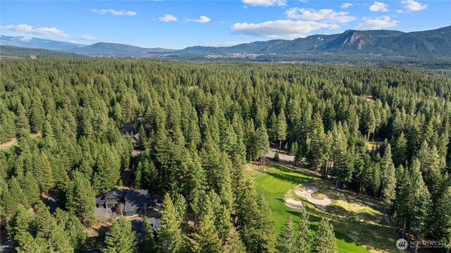 130 Rocking Chair Rd, Cle Elum, WA 98922 - photo 13