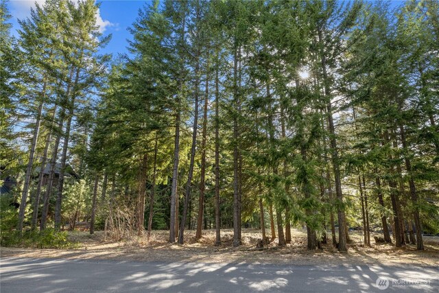 130 Rocking Chair Rd, Cle Elum, WA 98922 - photo 18
