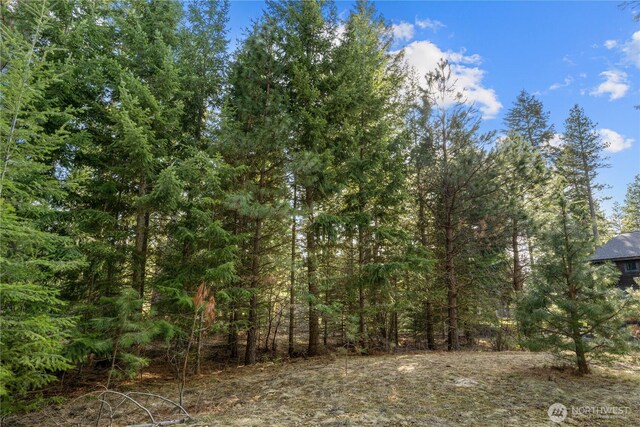 130 Rocking Chair Rd, Cle Elum, WA 98922 - photo 19