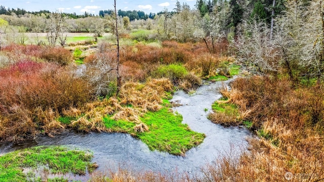 911 SE Mill Creek Rd, Shelton, WA 98584
