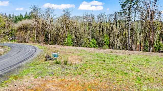 911 SE Mill Creek Rd, Shelton, WA 98584
