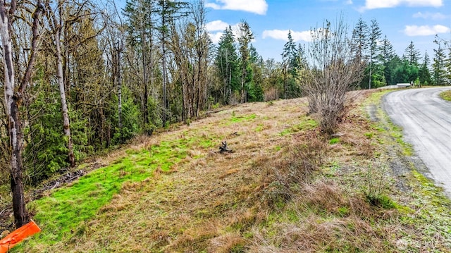 911 SE Mill Creek Rd, Shelton, WA 98584