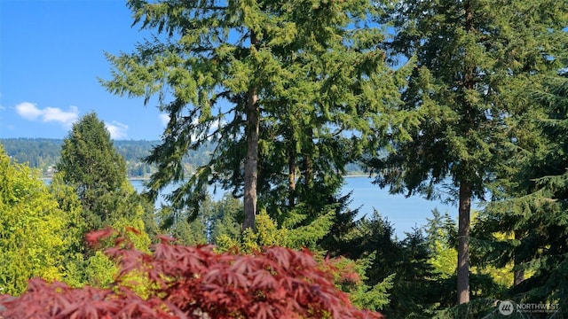 4958 NW Eldorado Blvd, Bremerton, WA 98312 - photo 10
