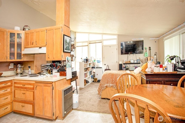 1444 SE Central Ave, College Place, WA 99324 - kitchen featuring under cabinet range hood, white stovetop, vaulted ceiling, and a healthy amount of sunlight