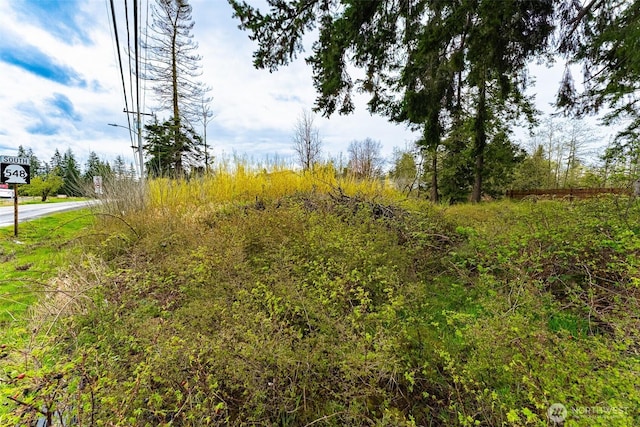 2619 Bell Rd, Blaine, WA 98230 - photo 12