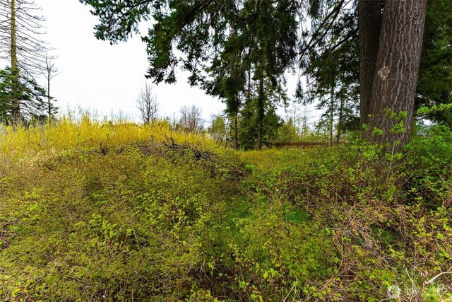 2619 Bell Rd, Blaine, WA 98230 - photo 13