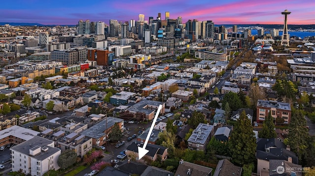 bird's eye view with a city view