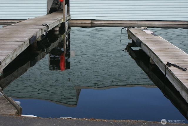 9050 Seward Park Ave S Unit 91, Seattle, WA 98118 - view of dock
