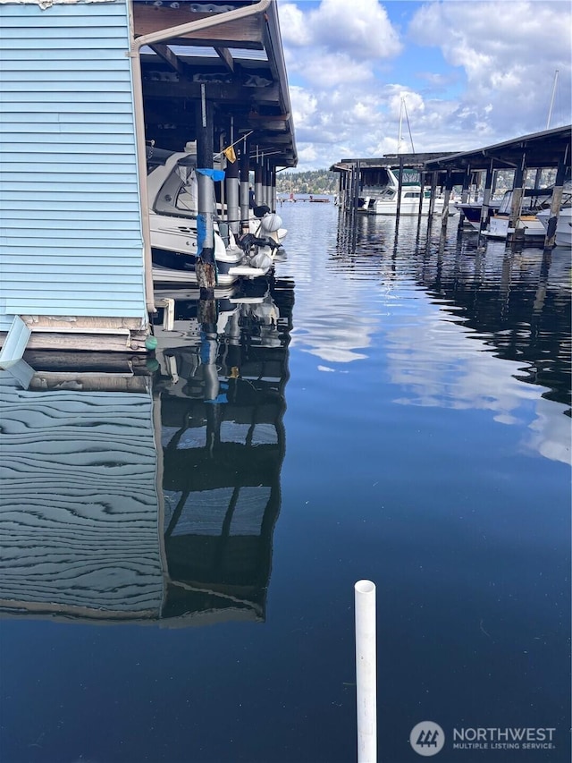 9050 Seward Park Ave S Unit 91, Seattle, WA 98118 - view of dock with a water view