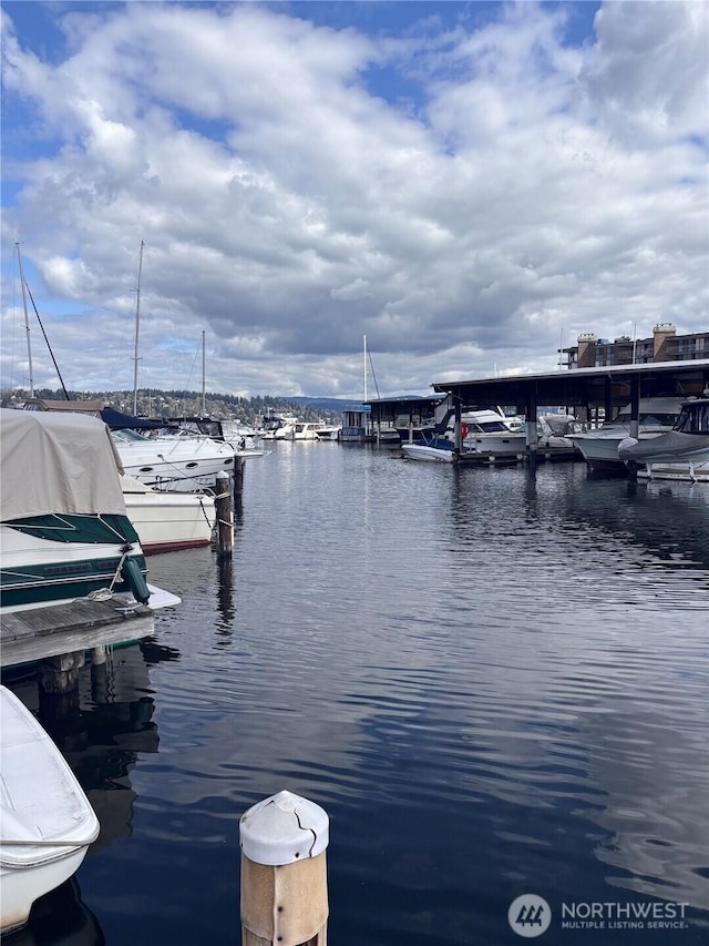 9050 Seward Park Ave S Unit 91, Seattle, WA 98118 - dock area with a water view
