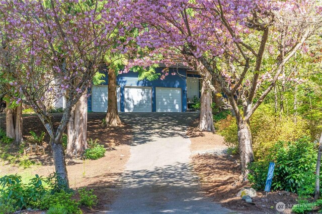 11518 167th Pl NE, Redmond, WA 98052 - view of front facade featuring asphalt driveway and a garage