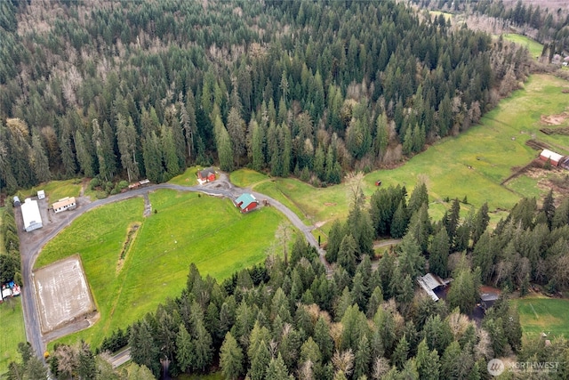 drone / aerial view